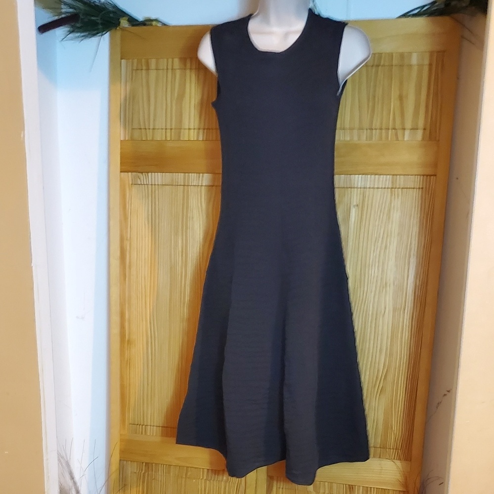 Banana Republic Black Textured Animal Dress